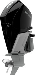 Mercury V 250 L / XL / XXL AM DS