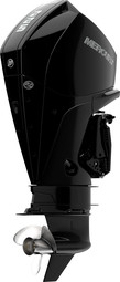 Mercury F 225 L XL DS